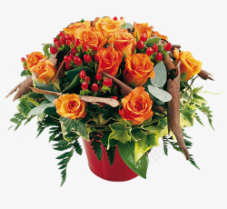 橘红色绿色橘红色玫瑰花朵绿色植物装饰高清图片