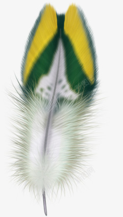 动物皮毛笔刷彩色羽毛高清图片