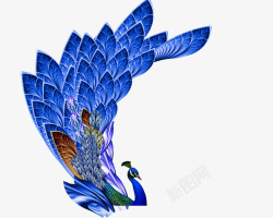 蓝孔雀超级精美孔雀羽毛高清图片