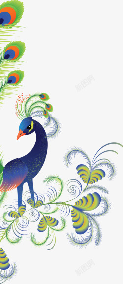 彩色孔雀羽毛手绘素材