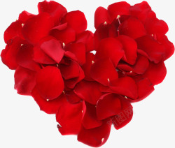 红色爱心玫瑰花瓣素材