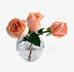花瓶里的粉玫瑰海报背景素材