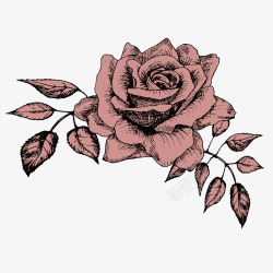 手绘复古玫瑰花矢量图素材
