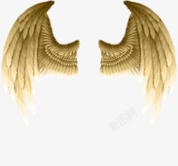 金翅膀翅膀图案高清图片