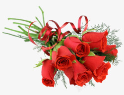 艳丽的玫瑰花一束艳丽的玫瑰高清图片