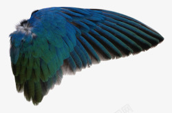 蓝色飞翔羽毛翅膀素材