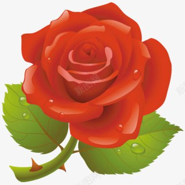 盛开的玫瑰花图标图标