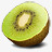 猕猴桃新西兰png免抠素材_88icon https://88icon.com kiwifruit 猕猴桃