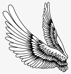 羽毛翅膀卡通手绘翅膀素材