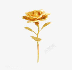 闪亮黄金法式浪漫玫瑰花高清图片