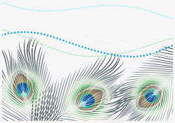 精美孔雀精美羽毛图标高清图片