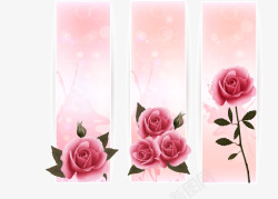 玫瑰花竖式素材