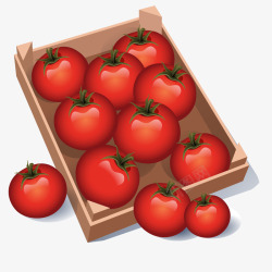 精美红色西红柿矢量图素材