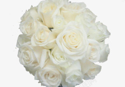 白玫瑰花花束背景素材
