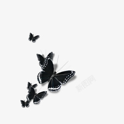 黑白蝴蝶装饰素材