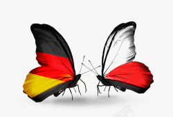 德国国旗花纹蝴蝶两只素材