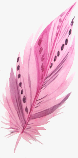 粉色花纹羽毛素材