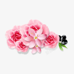 粉色玫瑰花元素素材