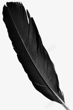 黑色水彩羽毛装饰图案素材
