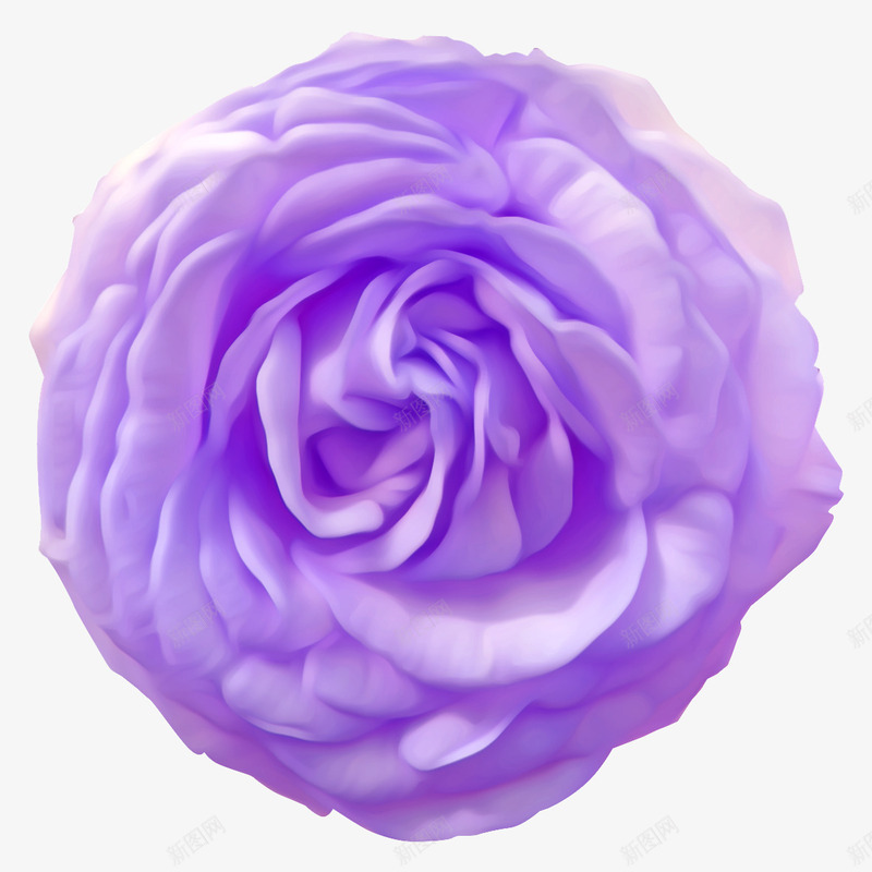 紫色玫瑰花花朵装饰png免抠素材_88icon https://88icon.com 玫瑰花 紫色 花朵 装饰