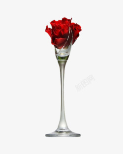 玫瑰花与高脚酒杯合成效果素材