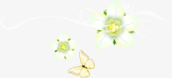 唯美白色情人节白色唯美蝴蝶花朵插画高清图片