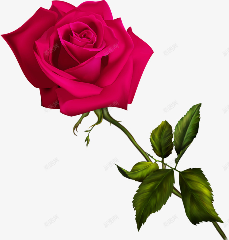 手绘一支红色玫瑰花png免抠素材_88icon https://88icon.com 一支红色玫瑰花 包装设计 手绘 海报设计 花朵 装饰