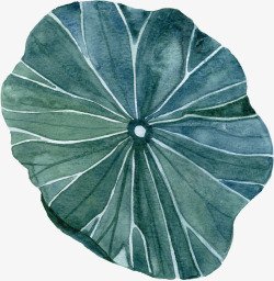 圆形绿色荷叶手绘图素材