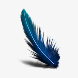 深蓝色的羽毛素材