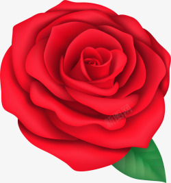 手绘盛开的花朵素材