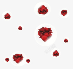 红色玫瑰花气泡玫瑰花装饰素材