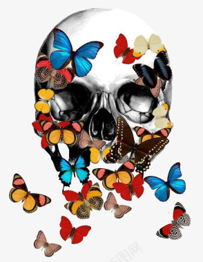 花蝴蝶骷髅骨头图标图标