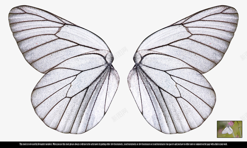 唯美蝴蝶翅膀png免抠素材_88icon https://88icon.com 卡通翅膀 唯美 彩色 手绘 精美 线条 羽毛翅膀 翅膀 翅膀素材 蝴蝶翅膀 装饰