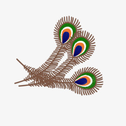 孔雀羽毛手绘风格素材