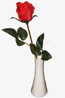 一朵插在花瓶的玫瑰素材