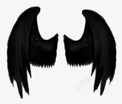 黑色的翅膀片素材