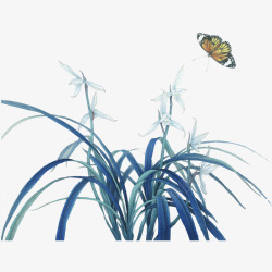 兰花草素材
