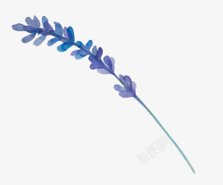 水彩一枝花蓝色水彩花朵高清图片