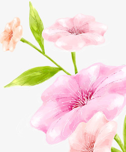 粉色手绘鲜花花朵梦幻素材