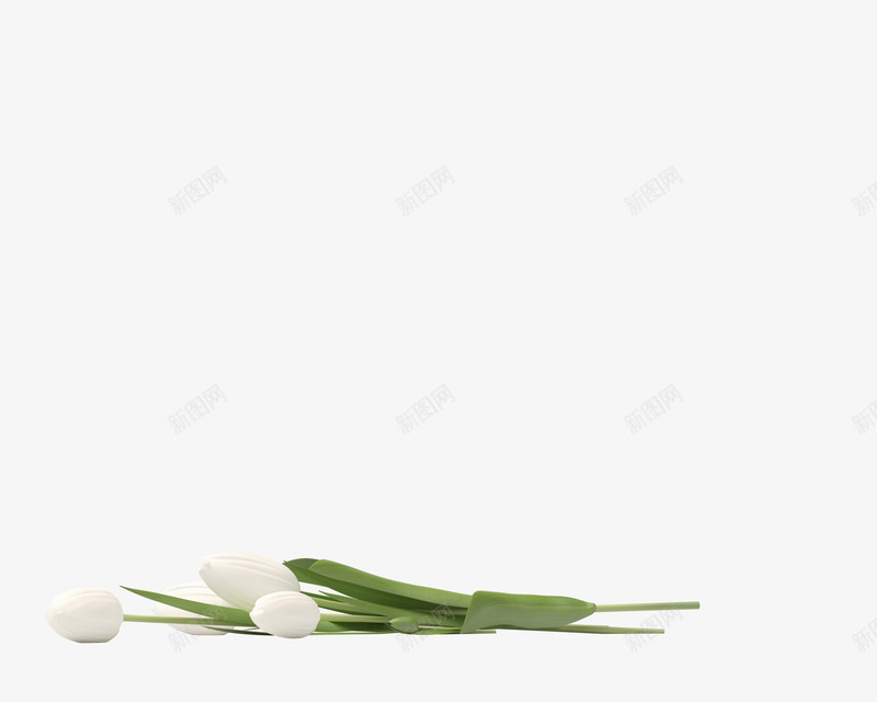 白色花束装饰效果图png免抠素材_88icon https://88icon.com 卡通手绘 叶子 植物 绿植 花朵 花束 装饰图