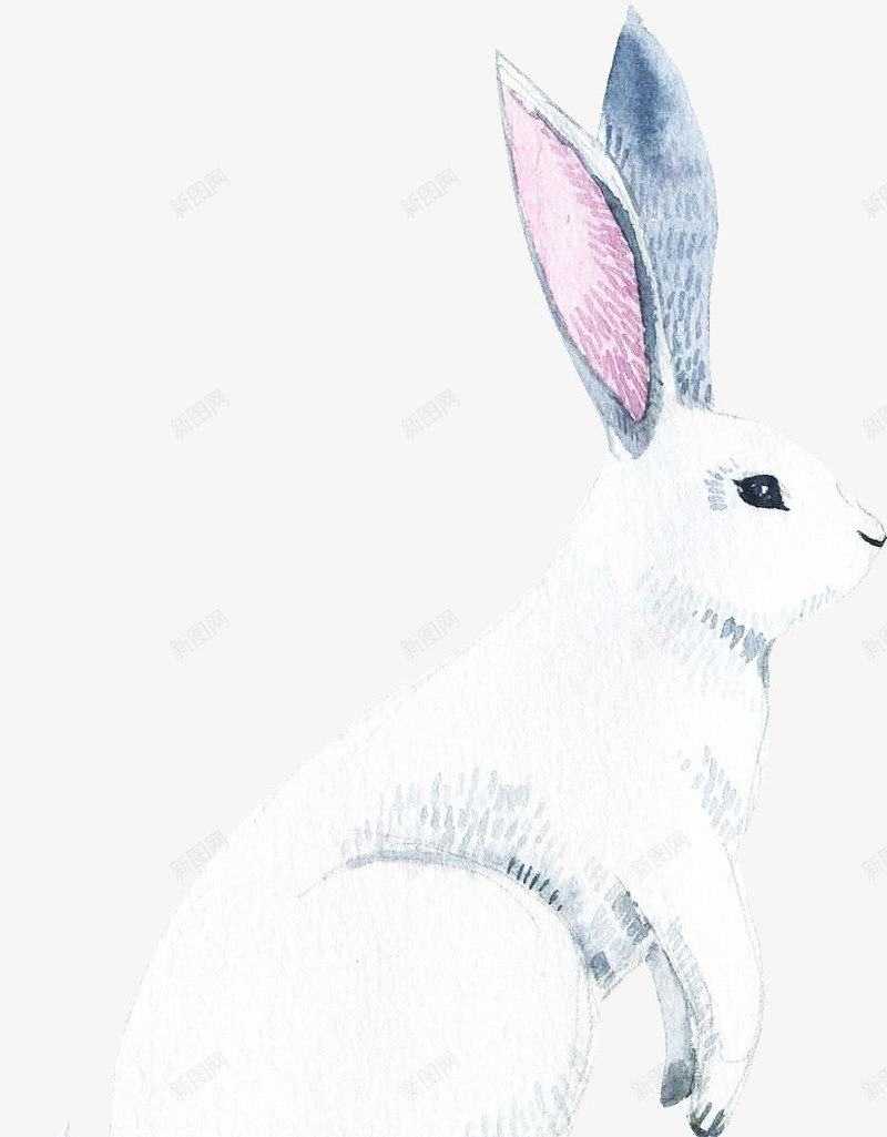 白色的手绘小兔子png免抠素材_88icon https://88icon.com 免抠图 兔子 动物 手绘兔子 效果图 装饰图 装饰画