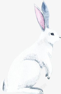 白色的手绘小兔子素材