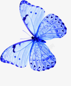 蓝色卡通半透明蝴蝶素材