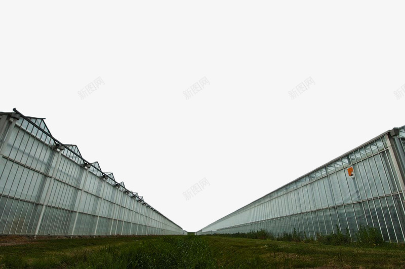 玻璃温室大棚png免抠素材_88icon https://88icon.com 大棚 建筑 温室 现代建筑 玻璃 玻璃墙