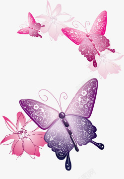 美丽飞舞的彩色蝴蝶花素材