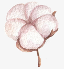 粉色手绘的棉花效果图素材