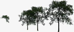手绘绿化大树效果图素材