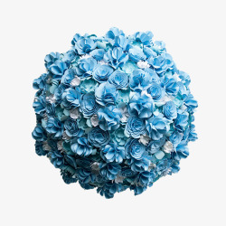 蓝色唯美小花素材