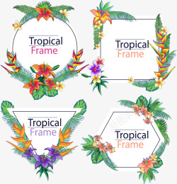 4款彩绘热带花草框架矢量图素材