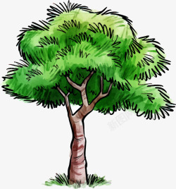 手绘水彩树景观植物元素矢量图素材